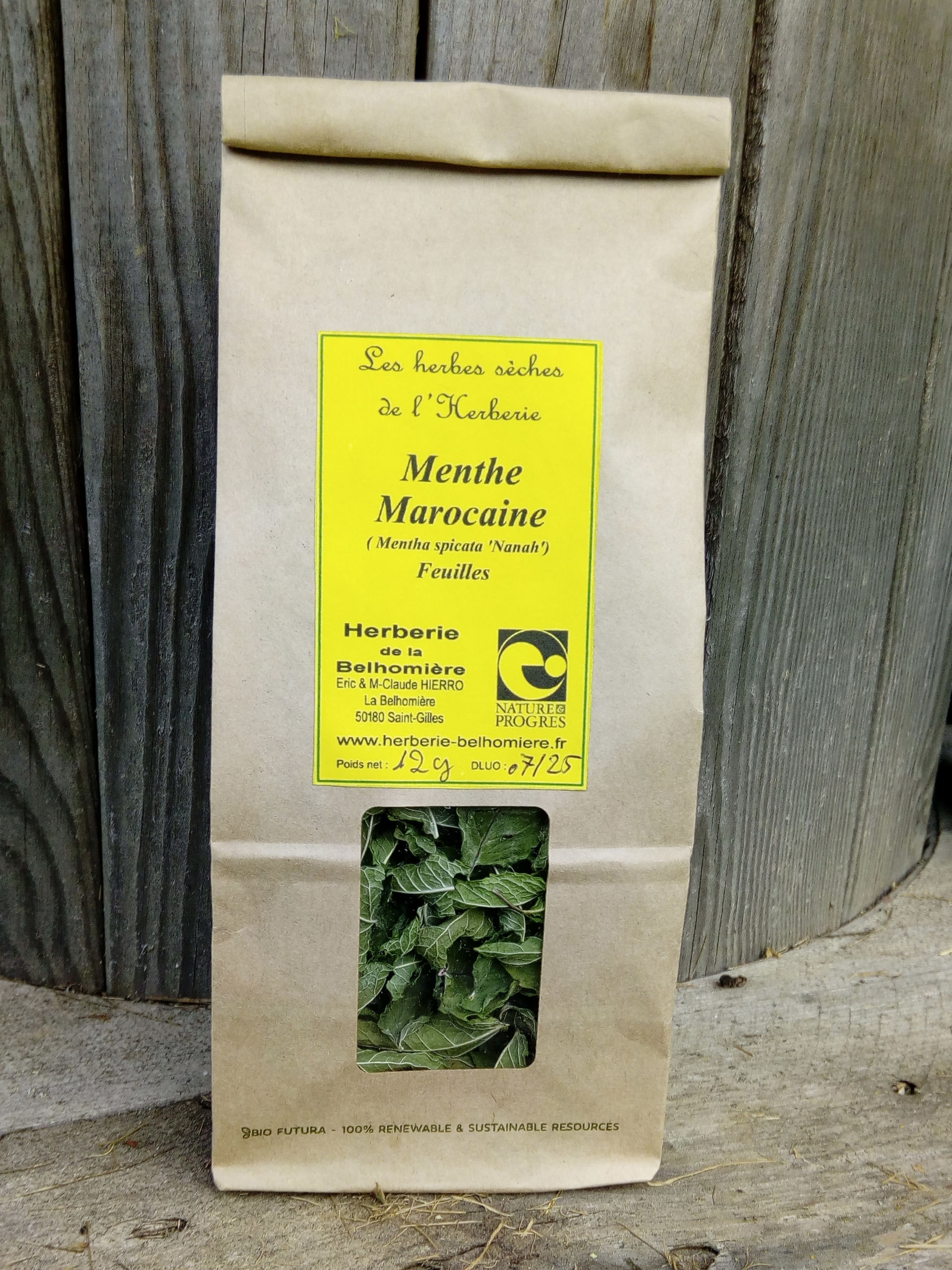 Campo Verde Menthe poivrée bio, sachets de thé 20 x 1,5 g